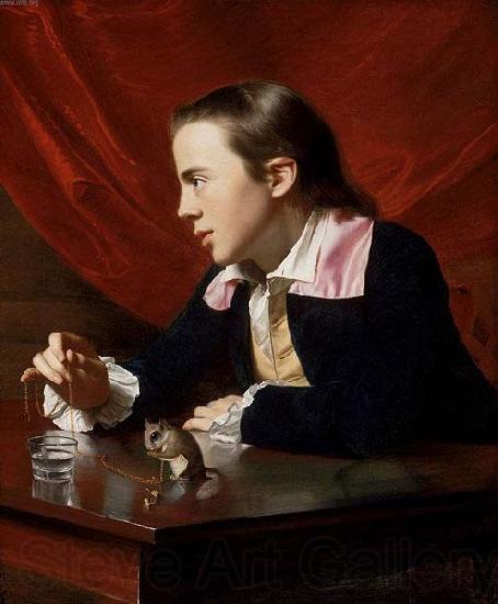 John Singleton Copley The Boy with the Squirrel France oil painting art